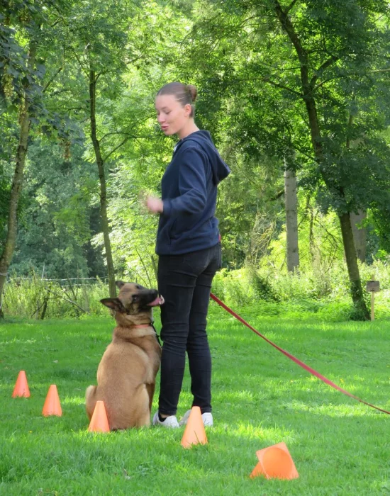 zootherapie exercice du chien et de la chaise pour PMR